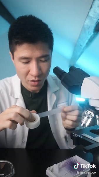 Découvrez les oxyures en détail