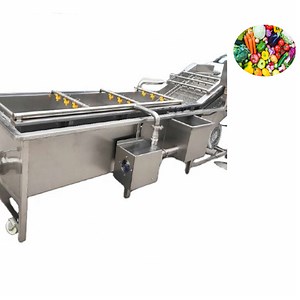 [Hot Item] Tomato/Strawberry Cleaning Machine Vegetable Washer Fruit Washing Machine
