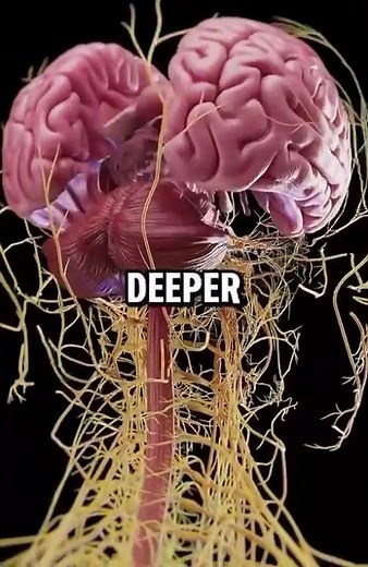 Magnesium Benefits for Sleep, Anxiety, and Energy