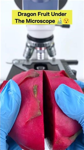 You've NEVER Seen Dragon Fruit Look Like This 😱🔬 #shorts #facts #microscope #dragonfruit #million
