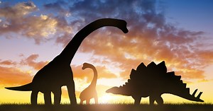 Dinosaurs’ Violent Mating Habits Are Helping Us Identify Their Genders