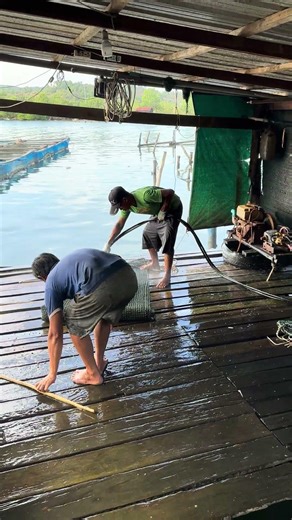 Fish Farm Workers Cleaning Fish Nets