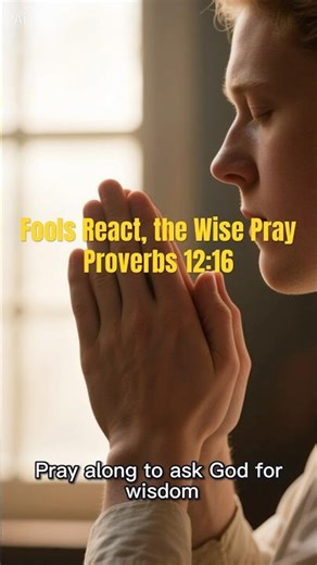 Rise Above Insults | Prayer for Wisdom & Self-Control | Proverbs 12:16