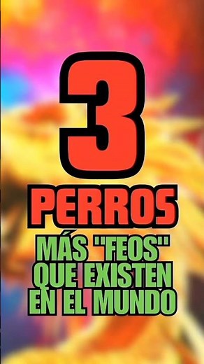 Los perros más "feos" que existen #curiosidades #fypシ #datoscurisos #animales #yosoydelos7mil