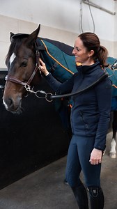 20K views · 153 reactions | Das Bemer Horse Set von...