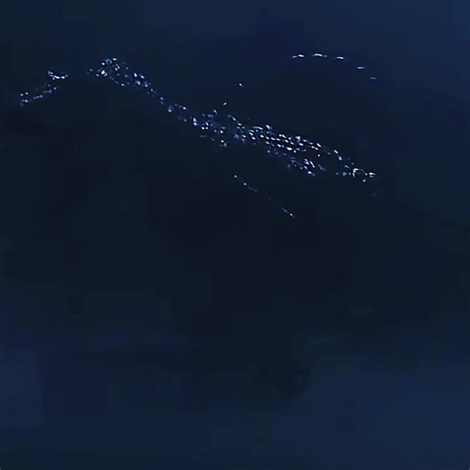 T-Rex Fans Traumatized by Spinosaurus Encounter