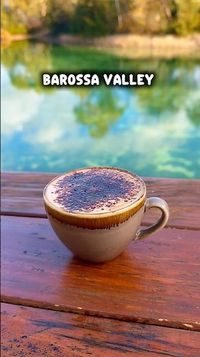 Barossa Valley Day Trip — Epic Scenery & Wine Tasting! #VineyardTour #Barossa #WineLovers #daytrip