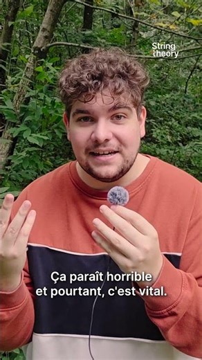 Necrophagous Insects