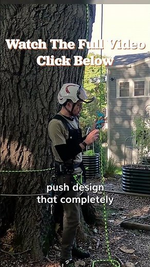 The Best Arborist Climbing Device? - TreeStuff Closer Look #shorts