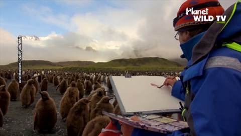 Painting with penguins