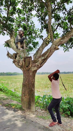 201K views · 553K reactions |  #editing #vfx #magic #islamic #share #sahanurmiah | Sahanur Miah | Facebook