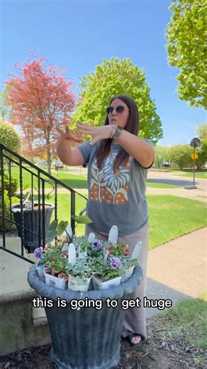 SHOP fresh annuals: https://provenwinnersdirect.com/collections/proven-winners-annuals 🌸Let’s plant up a combination with my first plant haul of the season! I’m so excited about these combos. It’s a totally new vibe for me in my front yard! Be sure to follow along– I’ll be updating you as they grow! 💚Nikki #GardenInspiration #GardeningMadeEasy #plantsmakepeoplehappy #ProvenWinners #plantpairing #plantcombinations | Proven Winners Direct