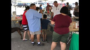 40th anniversary of sea turtle conservation program