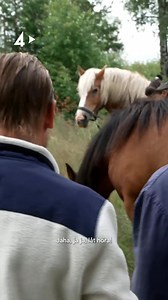 42K views · 112 reactions | "Idag kommer bli kaos" Streama nytt avsnitt av Farmen imorgon på TV4 Play  | Farmen | Facebook