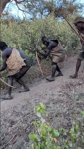 Life of the Hadzabe Hunters | Searching for Wild Game in the Forest