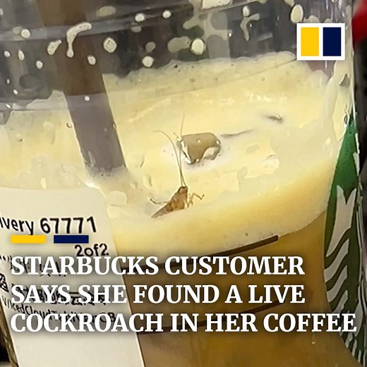 180K views · 718 reactions | A Starbucks customer in southern China’s Shenzhen claimed that she had found a live cockroach in her drink and posted a photo of it on her social media account. | SCMP Video | Facebook