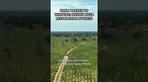 From barren to thriving: Niger’s mega restoration success