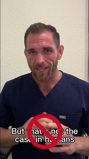 Alpha Terpinolene: A Terpene You Should Know About