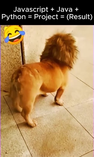 Divertido video de programación: Java, JavaScript y Python