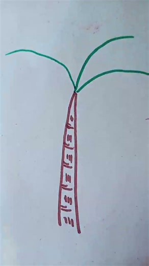 how to draw a plam tree on the paper #viral #viraltutorial #vlog #shorts #044 #subscribe #palmtree