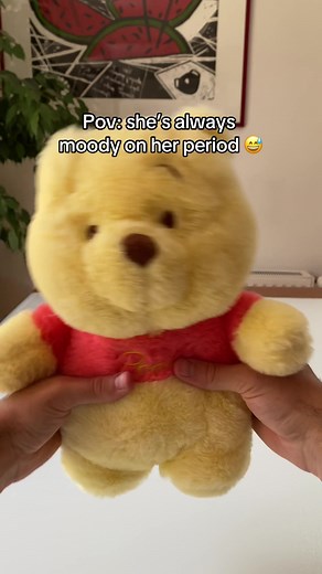 Relief from Period Cramps with Winnie the Pooh Plushies