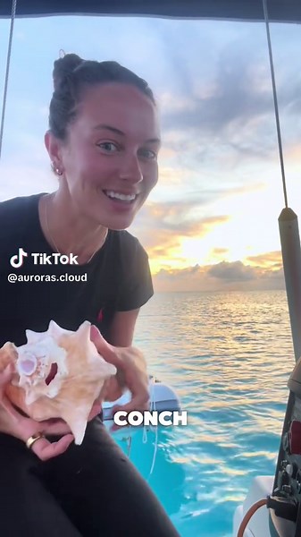 Experience the Nightly Sunset with Conch Horns