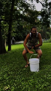 28K views · 374 reactions | Mosquito dunk update #mosquitocontrol #mosquitorepellent #homestead | Happy Acres Homestead | Facebook