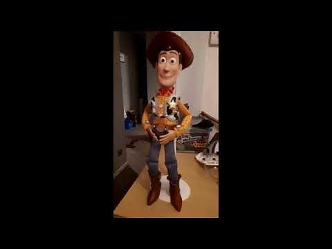 Toy Story (All of Woody's Voice Box lines)