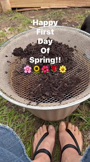 9.7K views · 270 reactions | Happy first day of Spring! What did y’all do today in your garden? #gardentips #growyourownfood #flowers #zinnias #gardening #organicgardening #urbangarden #beginnergardener #repotting #spring #garden #plantingflowers | Perkyplantparent | Facebook
