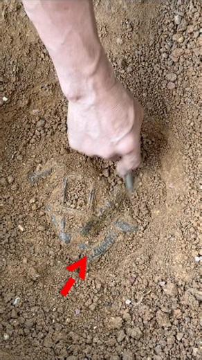 I FOUND A CURSED TREASURE UNDERGROUND…😱😱😱