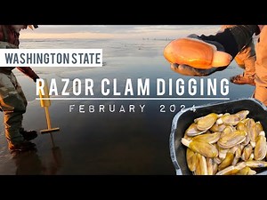 Razor Clam Digging, Washington State, February 2024