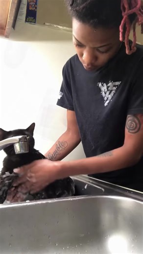 Hilarious Cats Taking Baths: Must-See Funny Moments