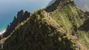 Family of mountain goats in Hawaiian wilderness. Goats grazing on green hills of NaPali coast nature park with cinematic coast on background, Kauai island. Herd of cute goats run by steep green peaks