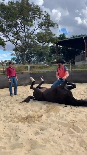#donalhancock #hancockhorsemanship #foryou