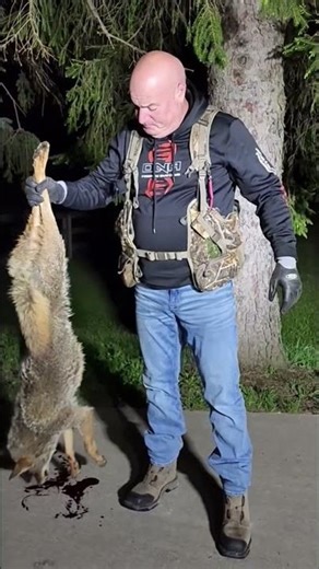 Predator Academy: New MFK Sounds for Hunting Dogs #shorts