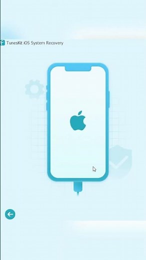 How to Back Up iPhone to Computer