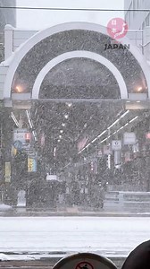 Heavy snow— This is what Sapporo looks like today☃️🇯🇵🥰 今日の札幌はこんな感じ #japan #travel #snow #fblifestyle #reels @トップファン | LIFE of JAPAN 日本の生活