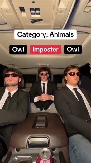 Wisdom 🦉 #imposter #owl @BAM! - Imposter & Party Games @Gnome Luke @Asher
