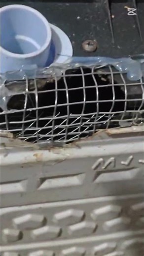 washing machine repairing @@ Whirlpool