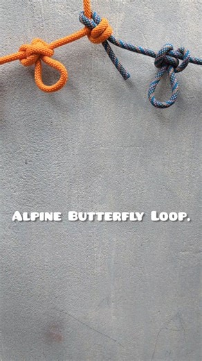 Alpine Butterfly loop knot/ great loops knot. #tyingropeknots #anchorhich #lashingknot #RopeDIY #bullhitch #knottying #coilingropeknot #bunnyearknot #SmartTip #reels | Enterhad9