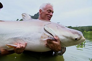 Mekong Giant Catfish: The Quick-Growing, Critically Endangered Monster Catfish