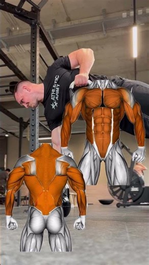 Full Body Functional Workout | Strength, Mobility & Power Training at the Gym