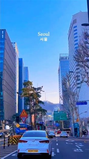 Most Beautiful Street in Seoul 🇰🇷 #seoul#southkorea#koreavibes#travelshorts#seoulvibes