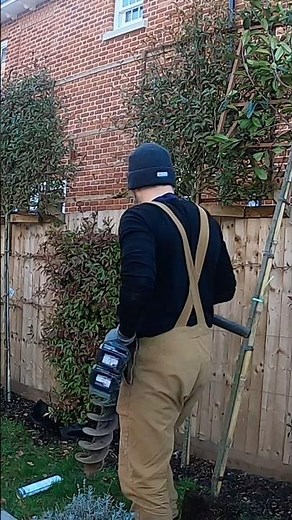 Planting Pleached Trees for Screening | Essex UK #treeplanting #garden #privacy