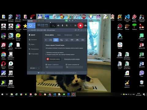 PySide6. QMdiArea. частина 1.