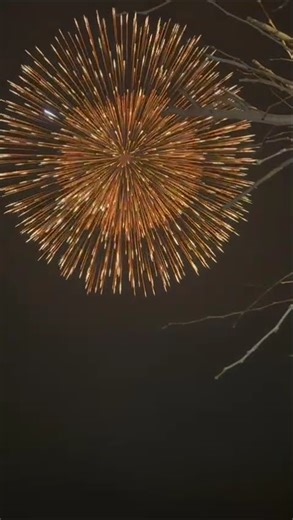 12 inch shell Giuliani fireworks 300mm