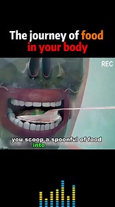 The journey of food in your body #food #medical | Interesting Facts