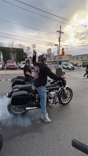 29K views · 377 reactions | Wild Animals on Harley’s #harleydavidson | Leotzbros | Facebook