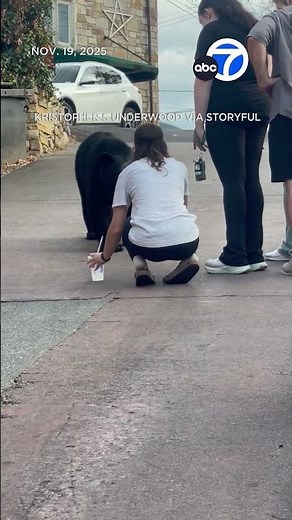 Woman tries to pet and feed bear