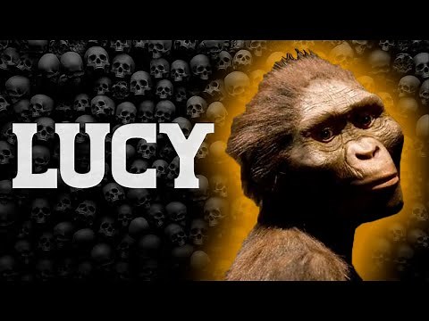 ⏱️ Who is Lucy? | In 1 minute